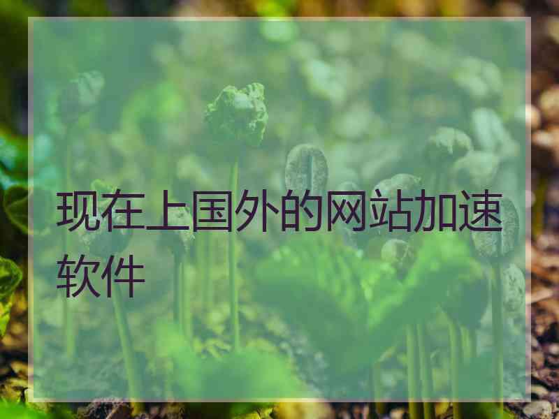 现在上国外的网站加速软件